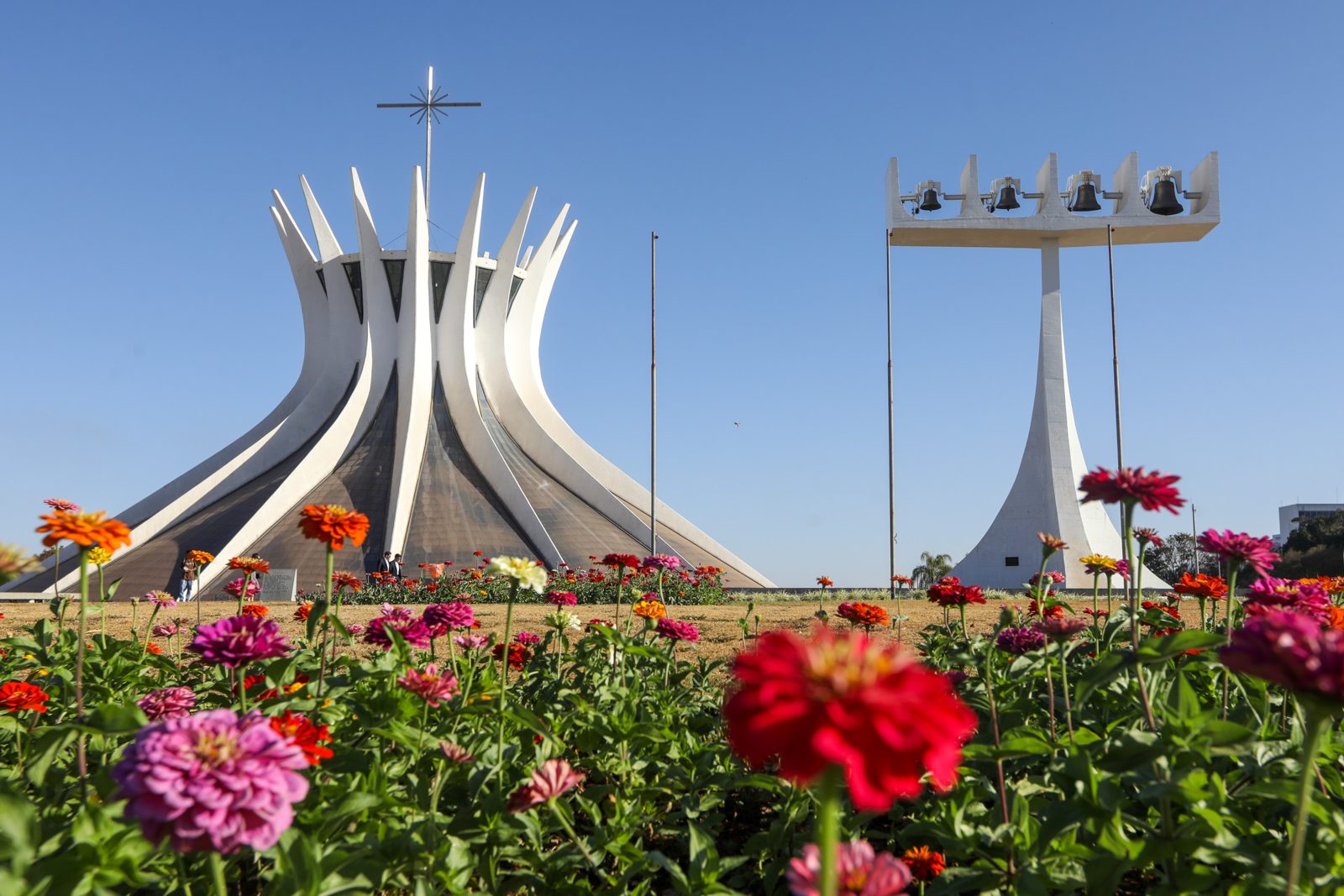 Catedral de Brasília - city tour Chama o Zé
